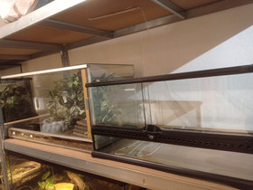 2 terraariota, Muut eläintarvikkeet, Lemmikkieläimet, Kokkola, Tori.fi 2 terraariota, Muut eläintarvikkeet, Lemmikkieläimet, Kokkola, Tori.fi