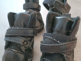 Koiran tossut XS, Koirien tarvikkeet, Lemmikkieläimet, Tammela, Tori.fi Koiran tossut XS, Koirien tarvikkeet, Lemmikkieläimet, Tammela, Tori.fi