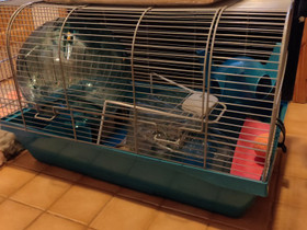 Hamsterin tarvikkeet, Muut eläintarvikkeet, Lemmikkieläimet, Kaarina, Tori.fi Hamsterin tarvikkeet, Muut eläintarvikkeet, Lemmikkieläimet, Kaarina, Tori.fi