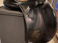 Kieffer lusitano 17