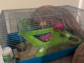 Hamsterin häkki + kaikki tarvittava, Muut eläintarvikkeet, Lemmikkieläimet, Turku, Tori.fi Hamsterin häkki + kaikki tarvittava, Muut eläintarvikkeet, Lemmikkieläimet, Turku, Tori.fi
