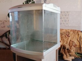 Terraario/akvaario, Muut eläintarvikkeet, Lemmikkieläimet, Raisio, Tori.fi Terraario/akvaario, Muut eläintarvikkeet, Lemmikkieläimet, Raisio, Tori.fi