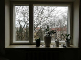 1H, Hämeentie 95, Kallio, Helsinki, Vuokrattavat asunnot, Asunnot, Helsinki, Tori.fi 1H, Hämeentie 95, Kallio, Helsinki, Vuokrattavat asunnot, Asunnot, Helsinki, Tori.fi