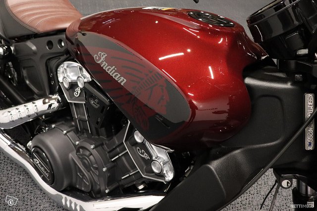 Indian Scout 13