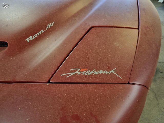 Pontiac Firebird 19