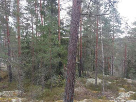 Lomaranta 53, Lohja, Metsätilat ja maatilat, Lohja, Tori.fi