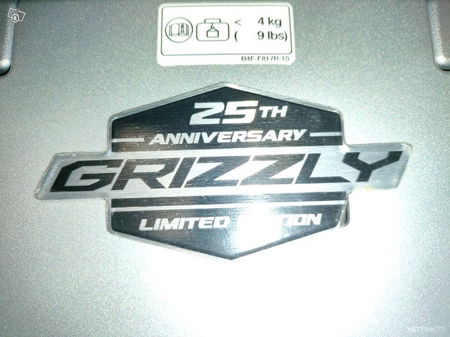 Yamaha Grizzly 19