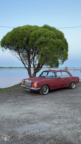 Mercedes-Benz 115, kuva 1