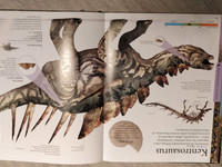 DK dinosaur book