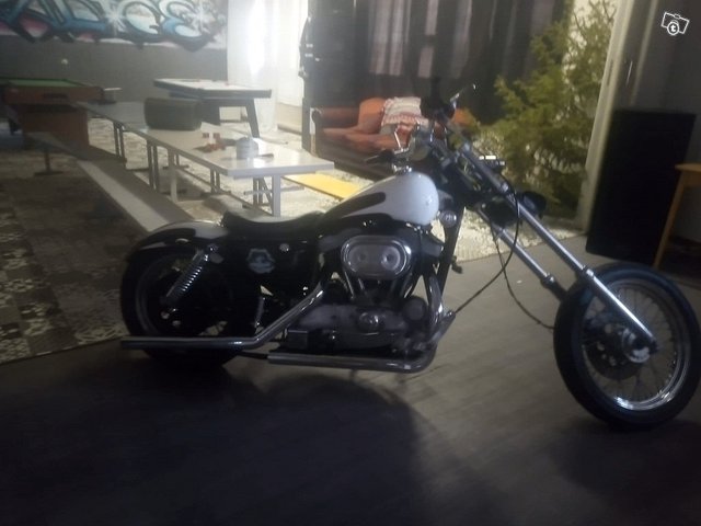 Harley Davidson sportster 1200 20