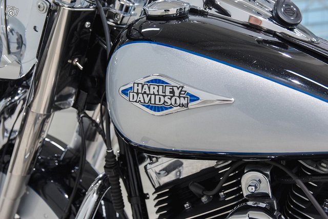 Harley-Davidson SOFTAIL 10