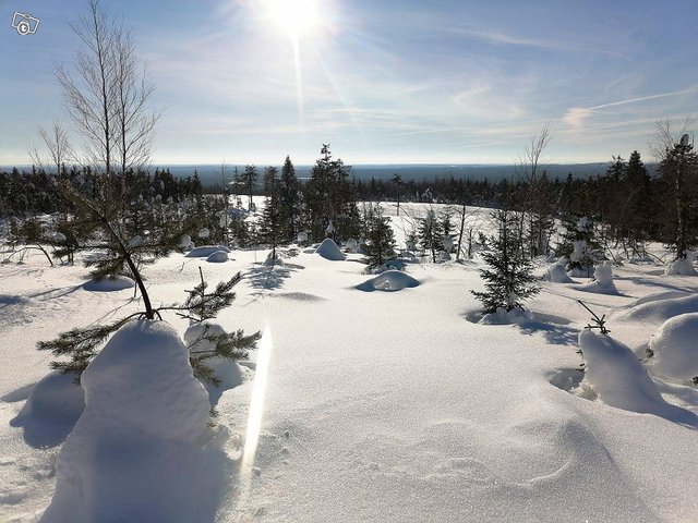 Ski-doo Tundra