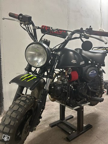 Monkey 125cc YX 11