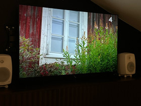 LG GX 55 inch 4K Smart OLED TV, Televisiot, Viihde-elektroniikka, Helsinki, Tori.fi