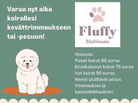 Koirien pesut, trimmaukset ja kynsienleikkaukset, Palvelut, Joensuu, Tori.fi