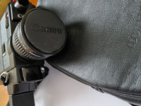 Kaitafilmikamera Canon 310XL