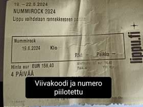 Nummirock 2024 festivaalilippu, Elokuvat, Kannus, Tori.fi