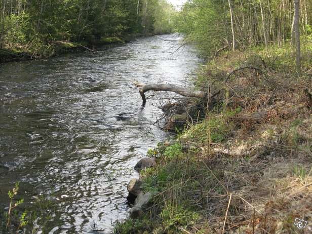 2098m², stengärdet Terjärv, Terjärv