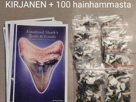 100 hainhammasfossiileja + tunnistusopaskirjanen, Antiikki ja taide, Sisustus ja huonekalut, Imatra, Tori.fi