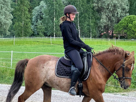 Hevosia ja poneja vuokraukseen, Hevoset ja ponit, Hevoset ja hevosurheilu, Pornainen, Tori.fi