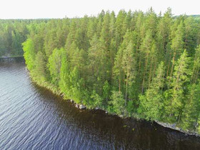 7283m, Paljakkavesi, Kiukkaansaari Tontti 5, Leppvirta, Tontit, Leppvirta, Tori.fi