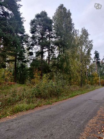 1277m², Lepakonpolku 4, HÄMEENLINNA