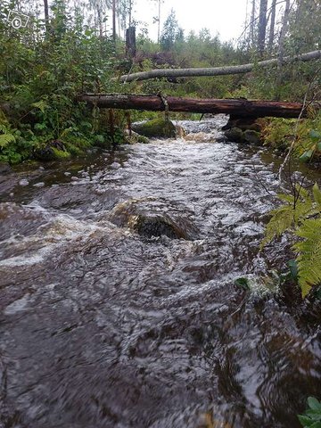 2.9 ha, Yksityistie, Leppäkorpi, Lohja, Lohja