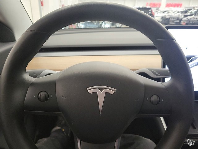 Tesla Model 3 21