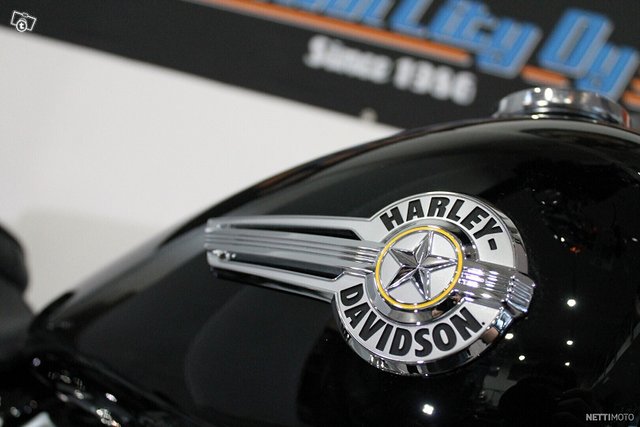 Harley-Davidson Softail 7