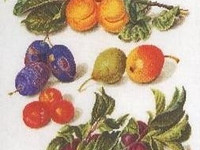 Ristipistopakkaus Peaches and Plums (Thea Gouverneur)