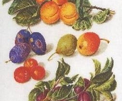 Ristipistopakkaus  Peaches and Plums (Thea Gouverneur), Ksityt, Paltamo, Tori.fi