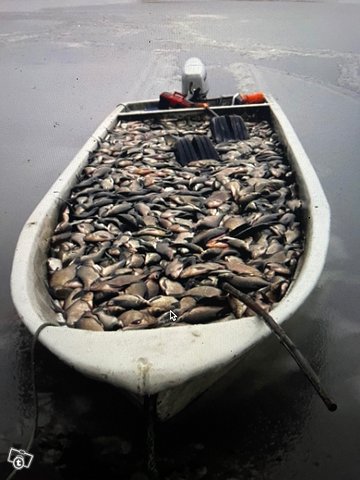 KUHA 700 kalastusvene, kuva 1
