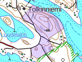 Tolkinniementie, Luusniemi, Kangasniemi, Metstilat ja maatilat, Kangasniemi, Tori.fi
