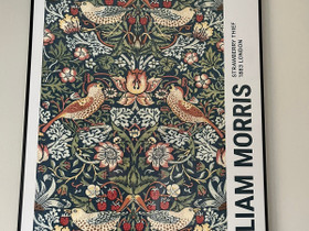 William Morris -juliste sek kehykset, 70x100cm, Taulut, Sisustus ja huonekalut, Espoo, Tori.fi