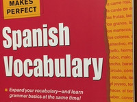 Practice Makes Perfect: Spanish Vocabulary kirja