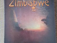 The great zimbabwe