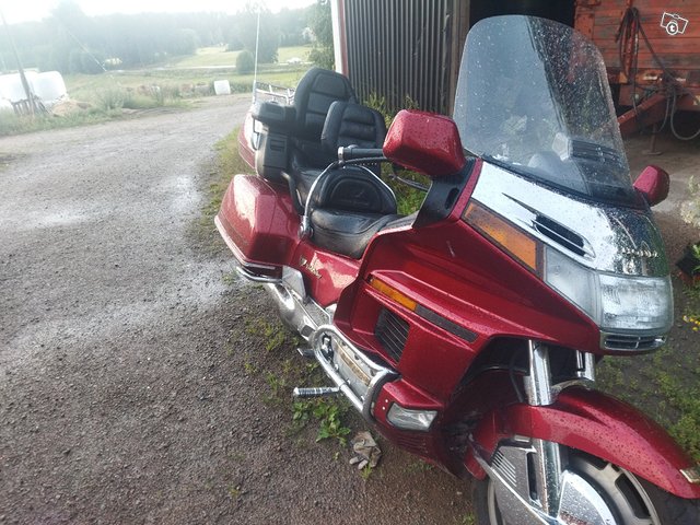 Gold Wing 1