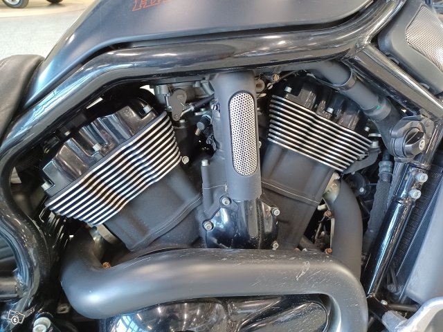 Harley-Davidson VRSCDX 7