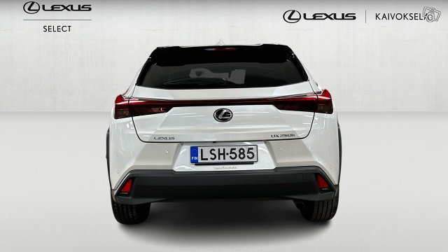 Lexus UX 4