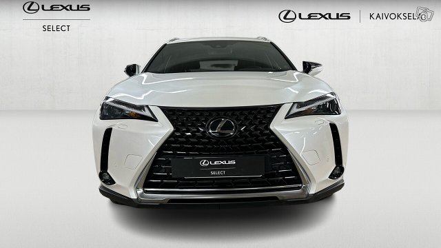 Lexus UX 7
