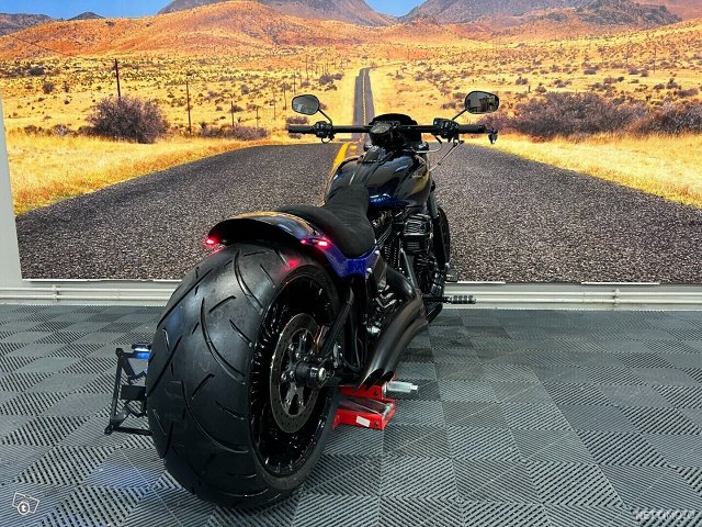 Harley-Davidson Softail 13