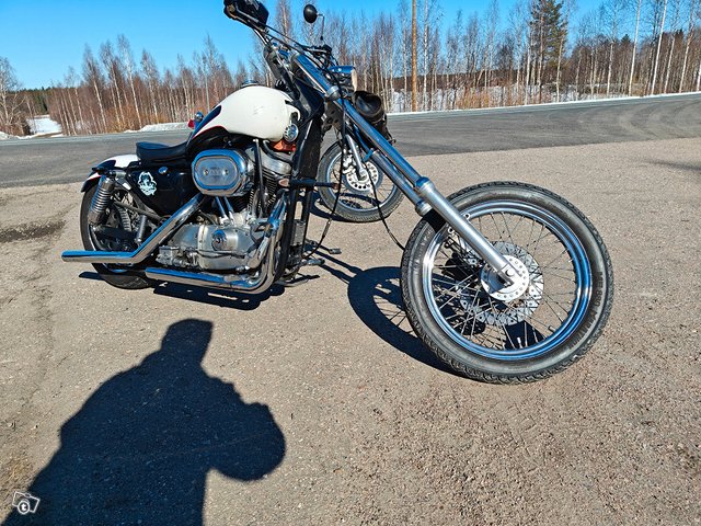 Harley Davidson sportster 1200 10