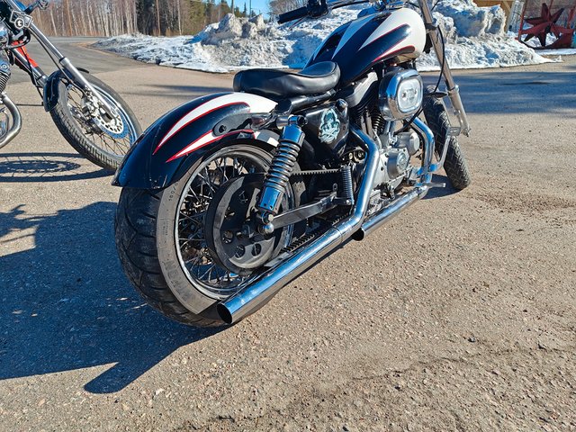 Harley Davidson sportster 1200 9