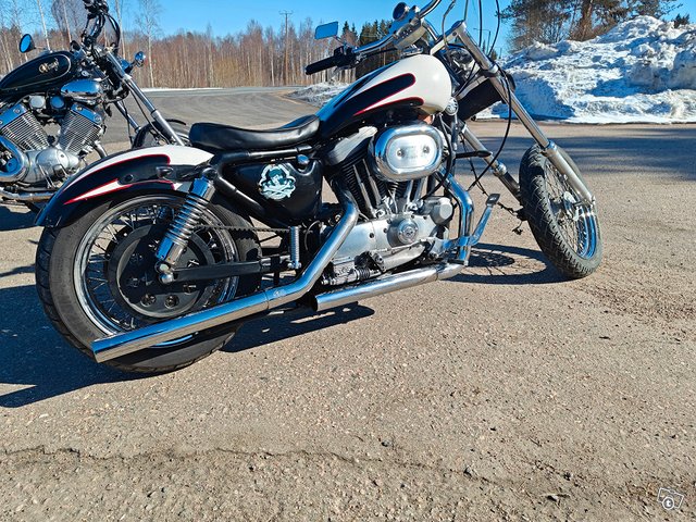 Harley Davidson sportster 1200 13