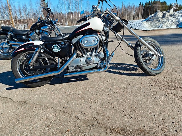 Harley Davidson sportster 1200 3