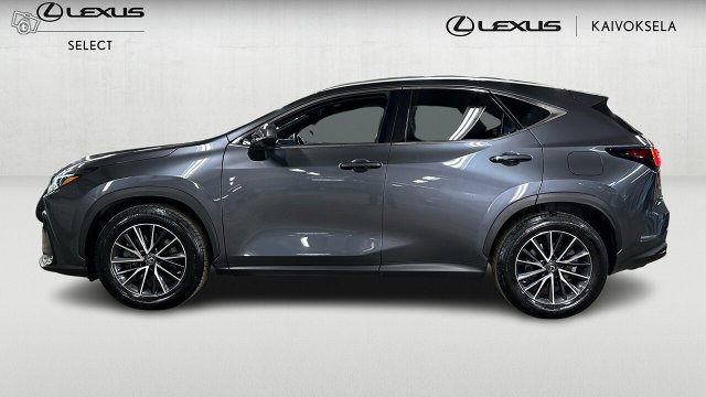 Lexus NX 3