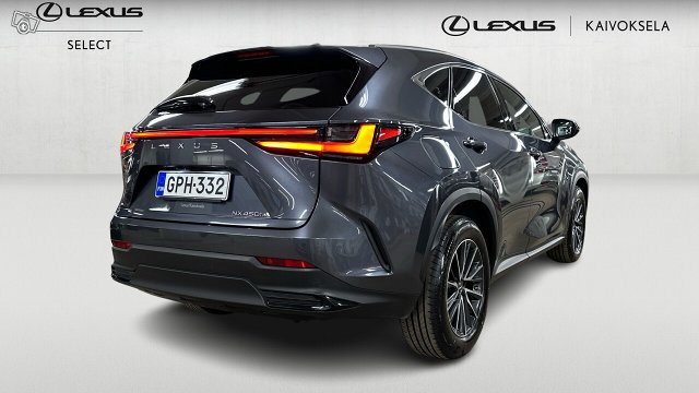 Lexus NX 6