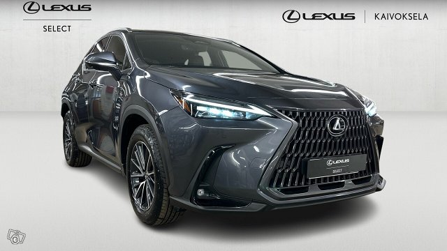 Lexus NX 7