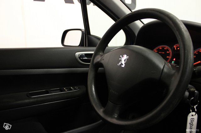 Peugeot 307 15