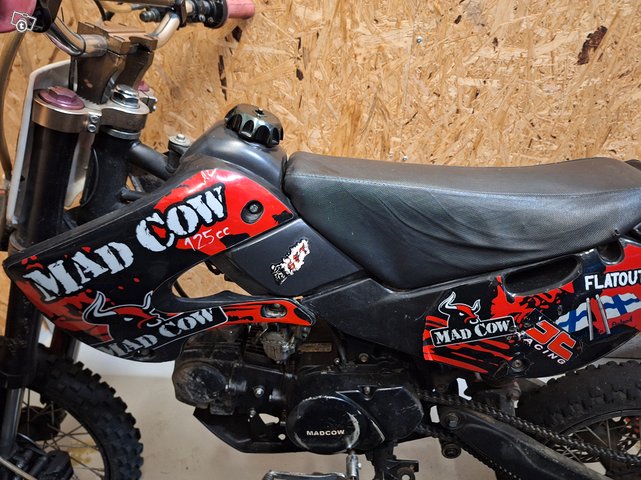 Mad Cow crossi 4